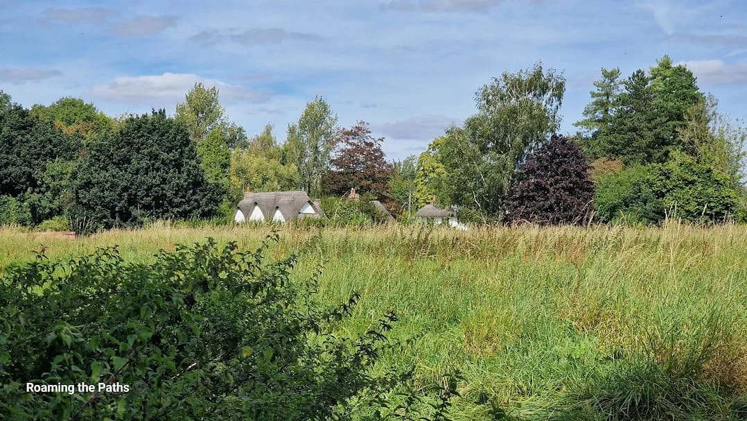 A peaceful rural scene featuring a thatched cottage nestled among tall trees and dense greenery. In the foreground, a wild meadow of tall grasses and shrubs stretches out under a bright blue sky with scattered clouds. The setting evokes a sense of tranquillity and timeless English countryside charm.